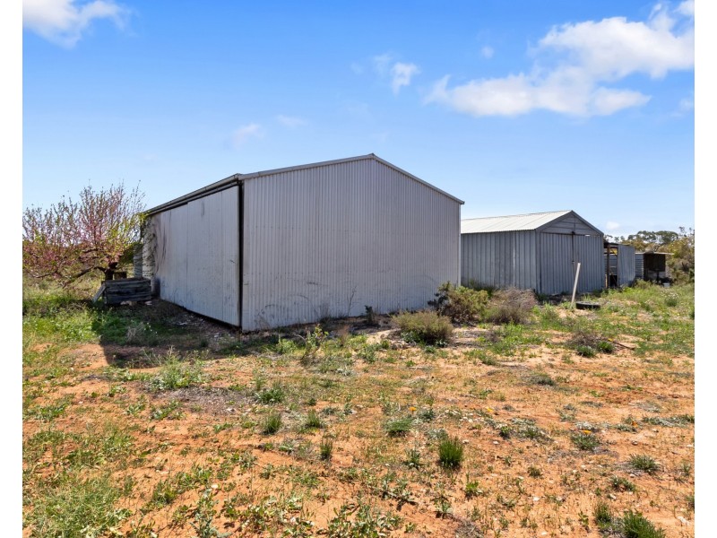 86 Pope Road, Waikerie SA 5330