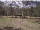 Kilkivan QLD 4600