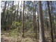 Tiaro QLD 4650