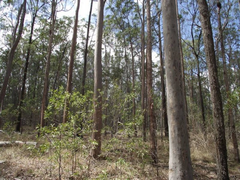 Tiaro QLD 4650