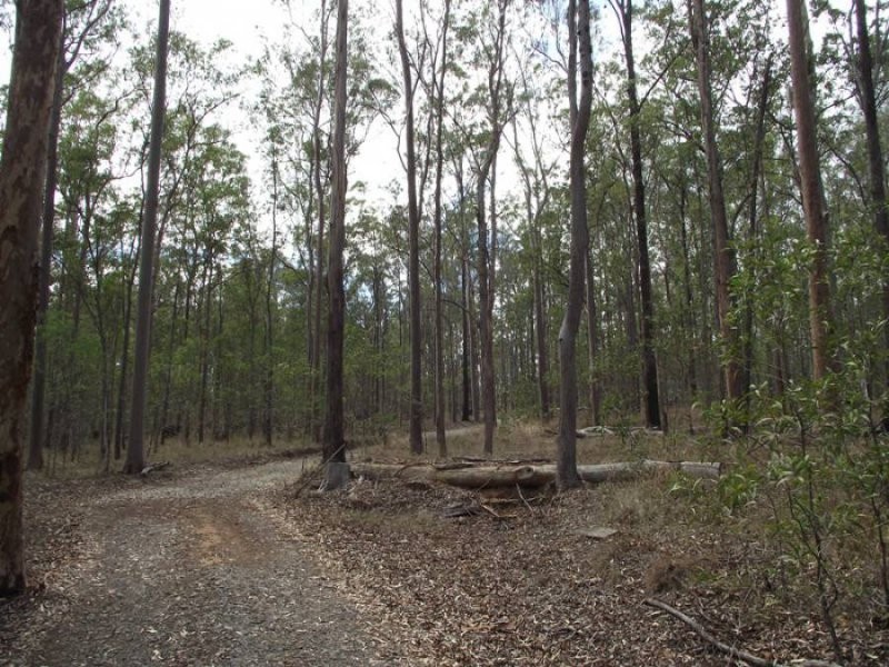 Tiaro QLD 4650