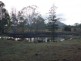 37 Pope Road, Mothar Mountain QLD 4570