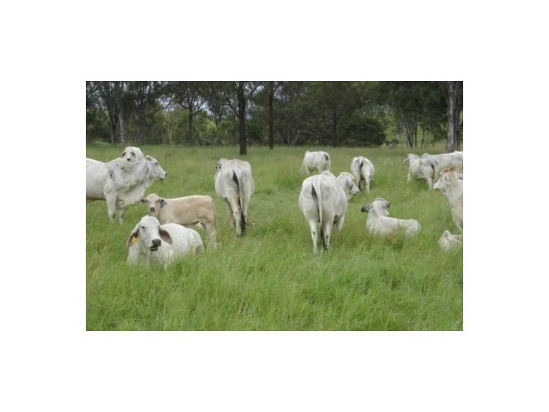 Glastonbury QLD 4570