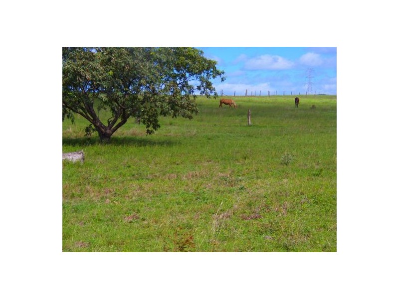 1105 Wide Bay Highway, Lower Wonga QLD 4570