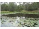 Upper Glastonbury QLD 4570