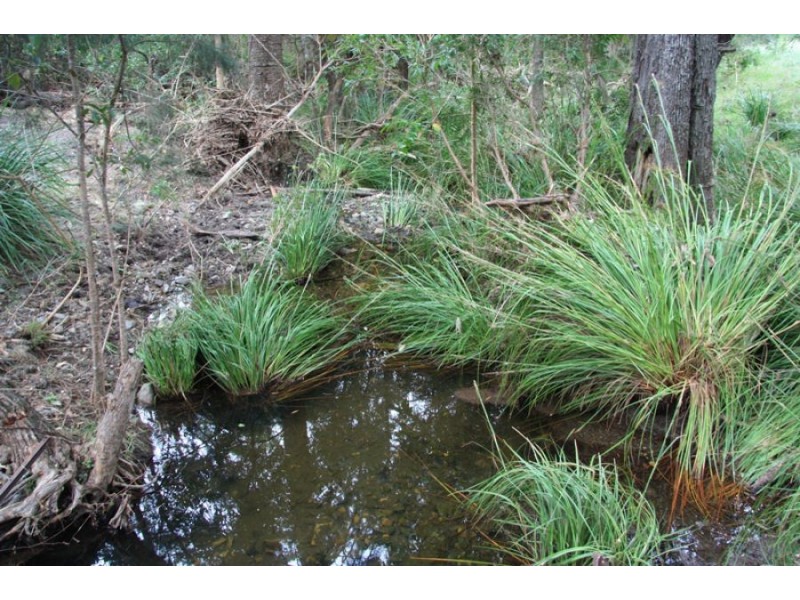 Upper Glastonbury QLD 4570