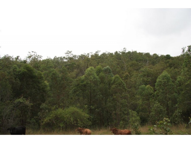 Upper Glastonbury QLD 4570