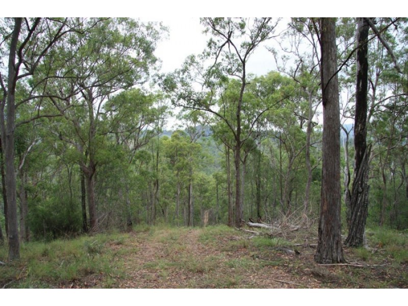 Upper Glastonbury QLD 4570