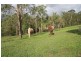 East Deep Creek QLD 4570
