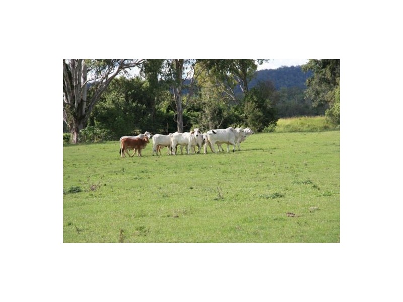 Glastonbury QLD 4570