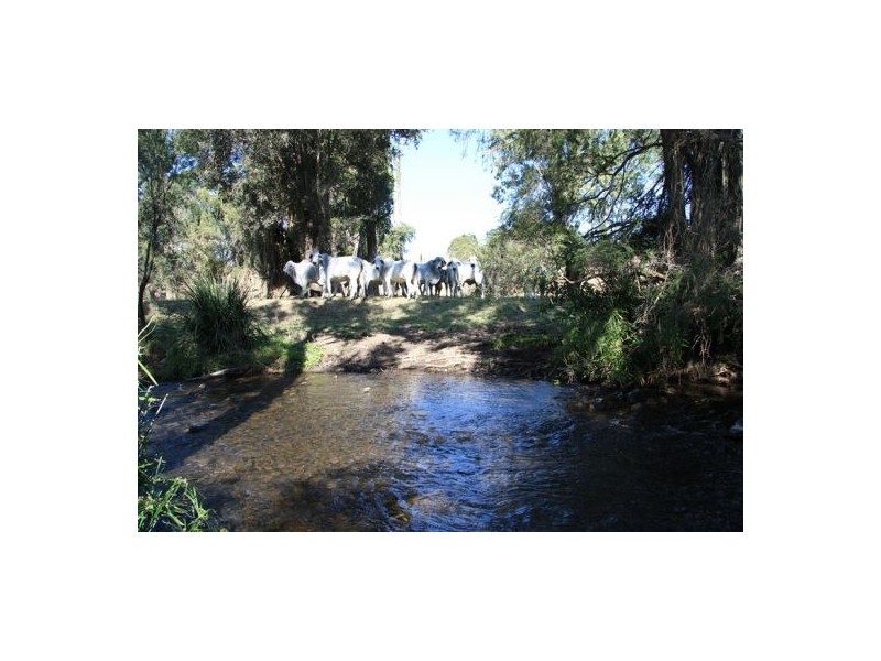 Glastonbury QLD 4570