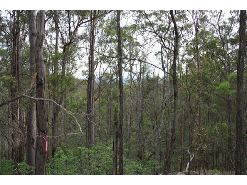 Neerdie QLD 4570