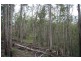 Neerdie QLD 4570