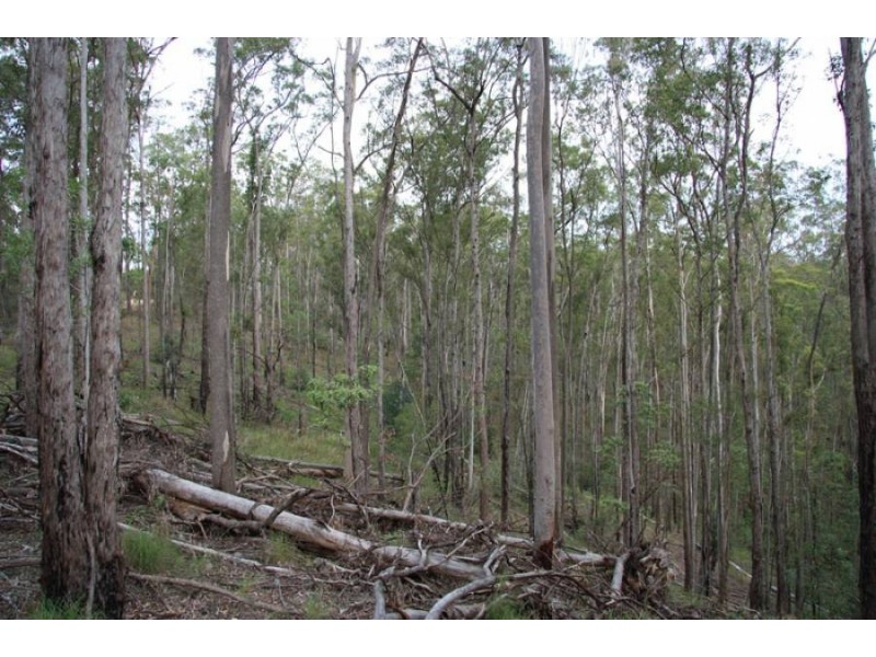 Neerdie QLD 4570