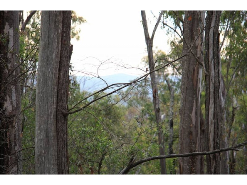 Neerdie QLD 4570