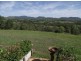 Mcintosh Creek QLD 4570