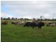 Murgon QLD 4605