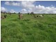 Murgon QLD 4605