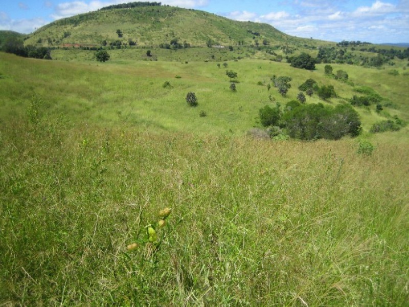 Murgon QLD 4605
