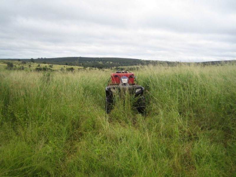 Murgon QLD 4605