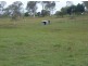 48 Horton Road, Chatsworth QLD 4570