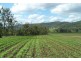 Glastonbury QLD 4570