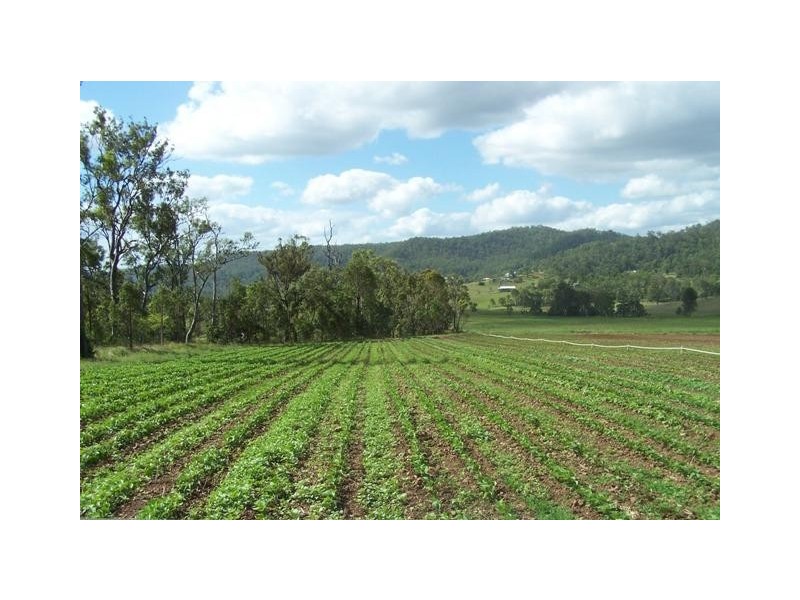 Glastonbury QLD 4570