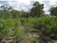 Bauple QLD 4650