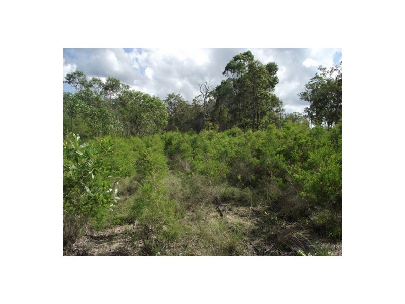 Bauple QLD 4650