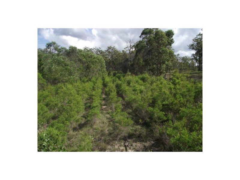 Bauple QLD 4650