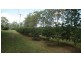 496 Beenham Valley Road, Cedar Pocket QLD 4570