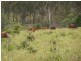 Woolooga QLD 4570