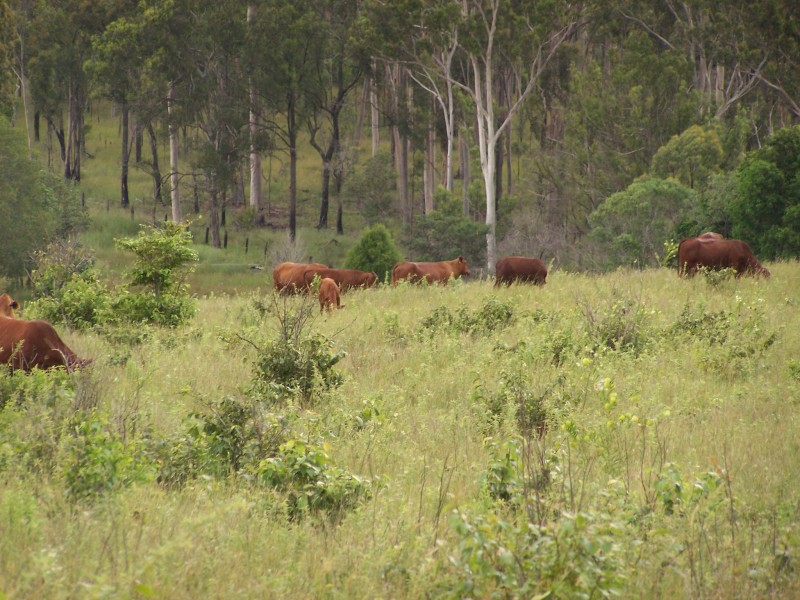 Woolooga QLD 4570
