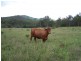 Woolooga QLD 4570