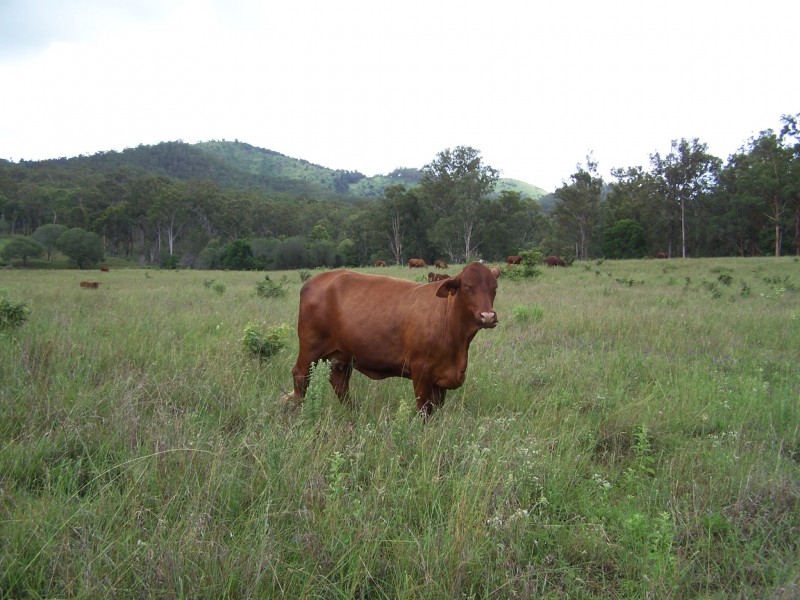 Woolooga QLD 4570