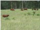 Woolooga QLD 4570