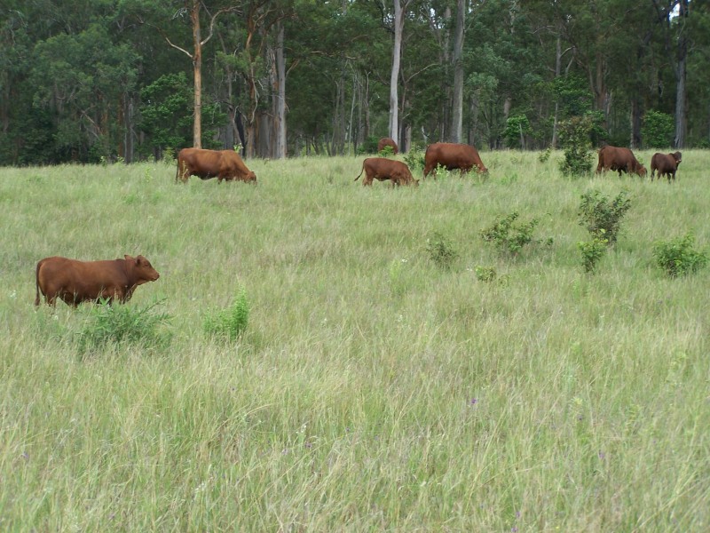 Woolooga QLD 4570