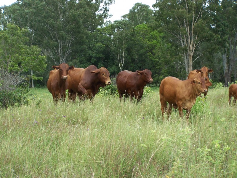 Woolooga QLD 4570