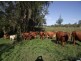 Glastonbury QLD 4570