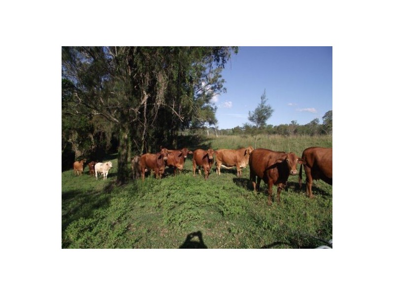 Glastonbury QLD 4570