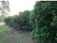 32 Limestone Drive, Widgee QLD 4570