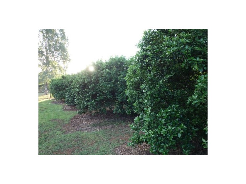 32 Limestone Drive, Widgee QLD 4570