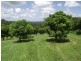 Lot 2, 3, 4 Grecian Bends Road, Greens Creek QLD 4570