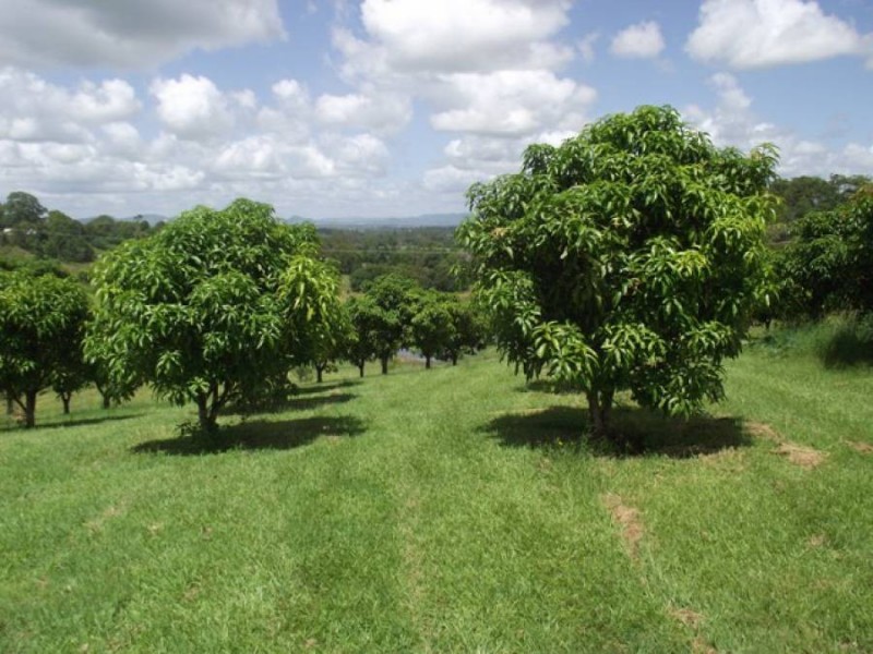 Lot 2, 3, 4 Grecian Bends Road, Greens Creek QLD 4570