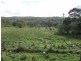 Glenwood QLD 4570