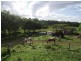 Glenwood QLD 4570