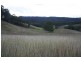 Glastonbury QLD 4570