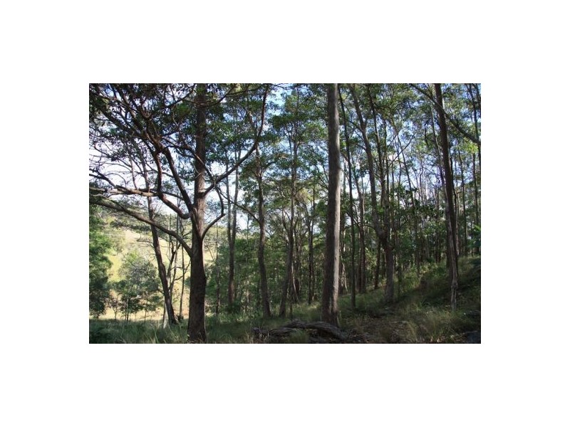Glastonbury QLD 4570
