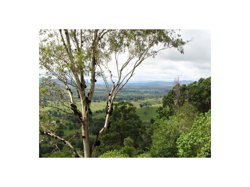 Lot 2 Gibson Road, Mooloo QLD 4570