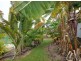 49 Fernvale Drive, Pie Creek QLD 4570